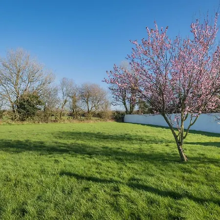 Big White House Ferienhaus *