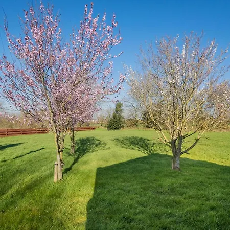 Ferienhaus Big White House